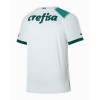 Maglia ufficiale Palmeiras 2023-24 Trasferta per Uomo